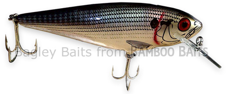  Bagley Monster Shad 