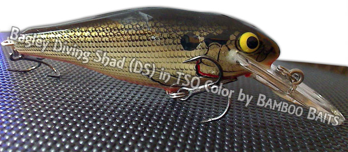  Bagley Diving Shad DS in TSO Color 